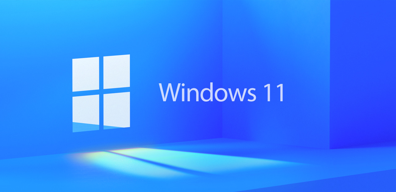 Wat is Tiny11, de populaire Windows 11 “Lite” waard?